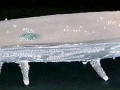 Boat, Porcelain, 52 x 9 x 13 cm, 2001