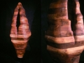 Phenotype (with detail), Cedar, Steel, 320 x 120 x 110 cm, 2001