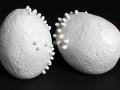 Uncertain Urchin (detail), Porcelain, 14 x 9 x 9 cm, 2003